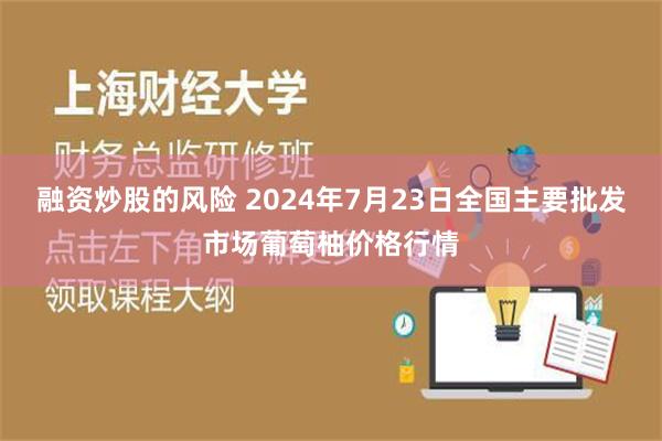 融资炒股的风险 2024年7月23日全国主要批发市场葡萄柚价格行情