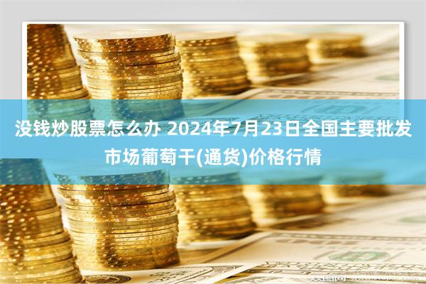 没钱炒股票怎么办 2024年7月23日全国主要批发市场葡萄干(通货)价格行情