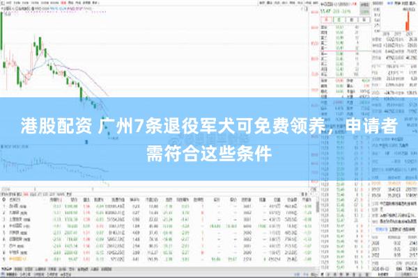 港股配资 广州7条退役军犬可免费领养，申请者需符合这些条件