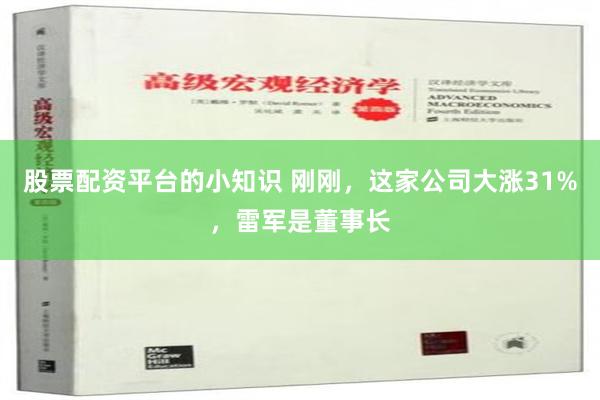 股票配资平台的小知识 刚刚，这家公司大涨31%，雷军是董事长